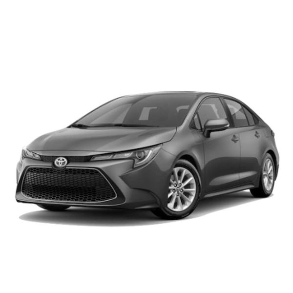 Toyota Corolla or Similar